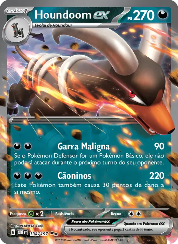Houndoom ex
