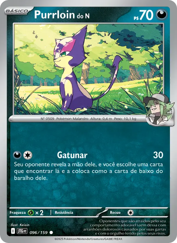 N's Purrloin