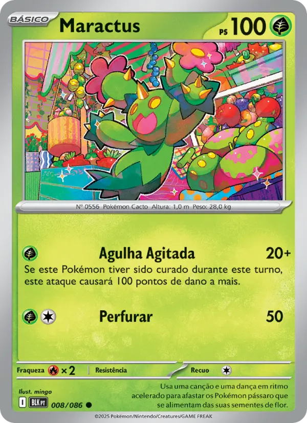 Maractus